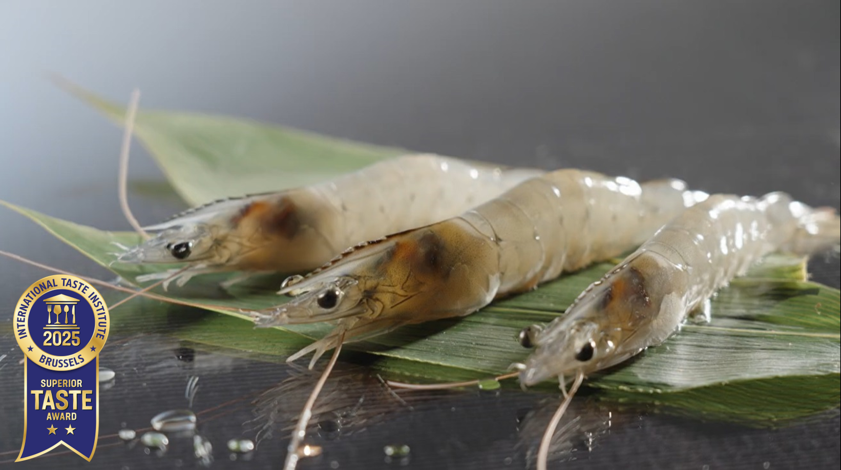 ITIを受賞したうるみえび画像