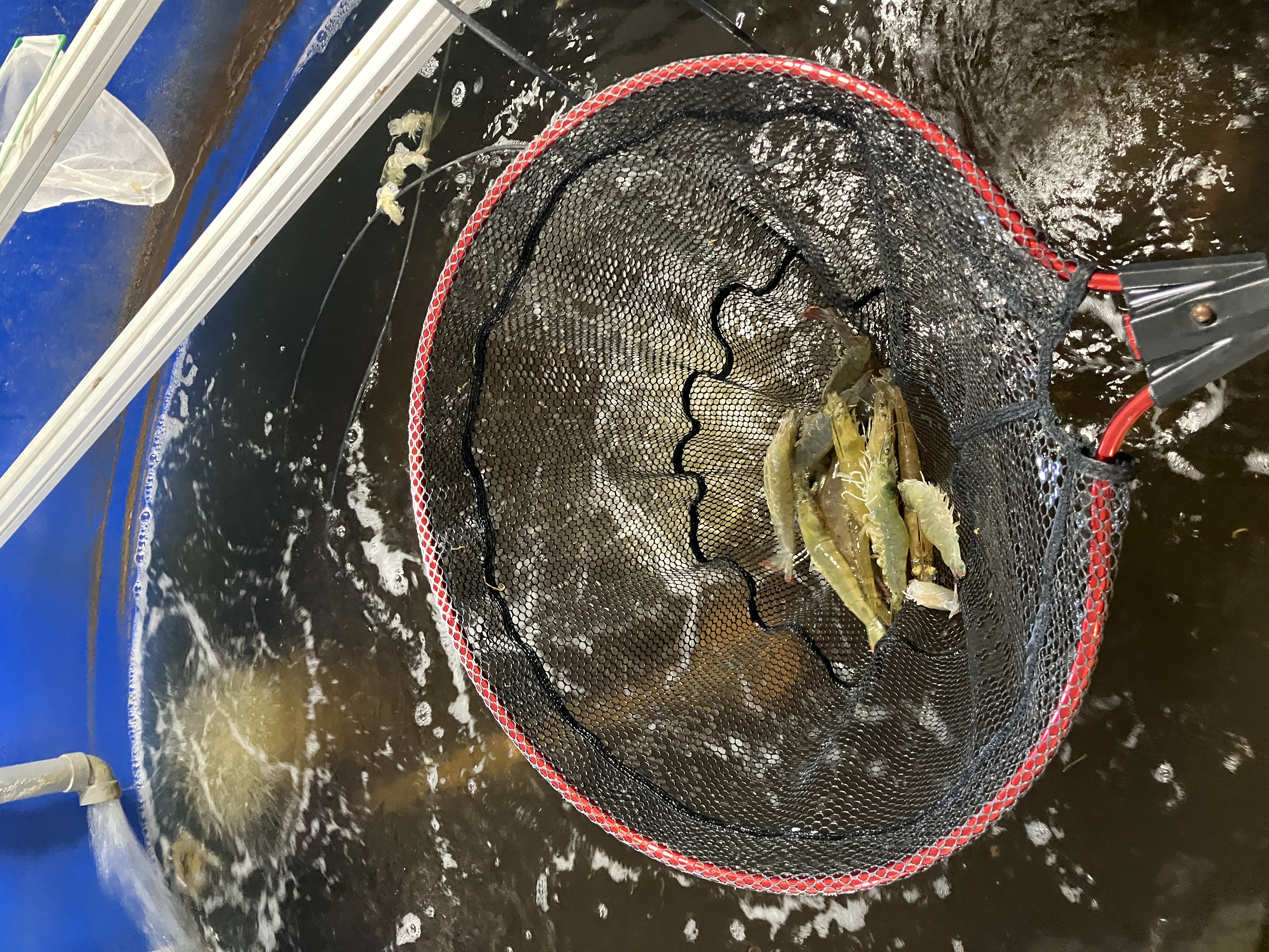 徹底した安全性