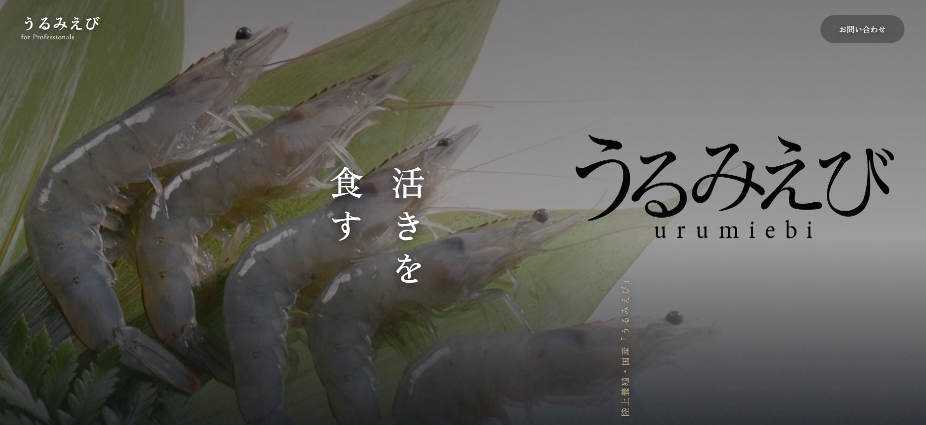 活きうるみえびサイト